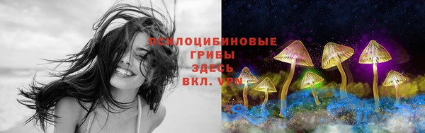 тгк Алзамай