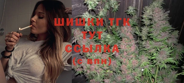 тгк Алзамай
