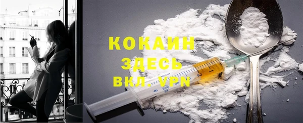 тгк Алзамай