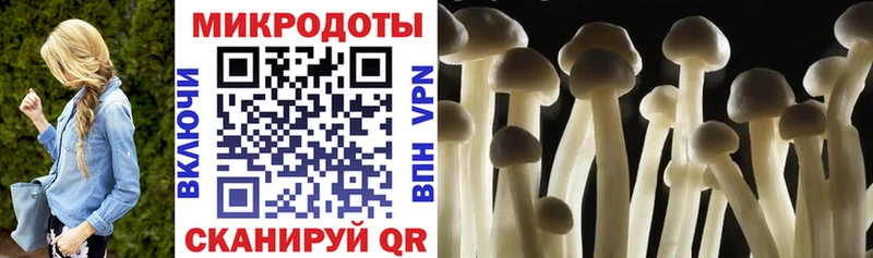 Галлюциногенные грибы мухоморы  Астрахань 