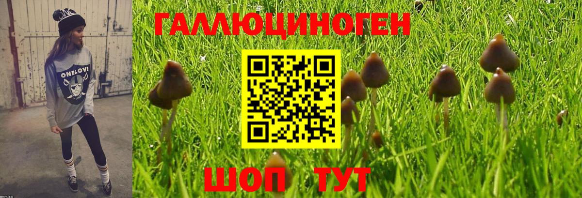 Псилоцибиновые грибы GOLDEN TEACHER  Вход с VPN  Астрахань 