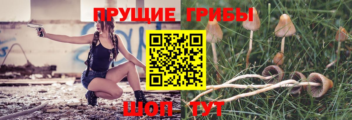Псилоцибиновые грибы GOLDEN TEACHER Астрахань